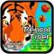 BENGAL TIGER - MEGA MARBLES - MEGA MARBLES OLD 24+1 (2004-2006) (FACE)